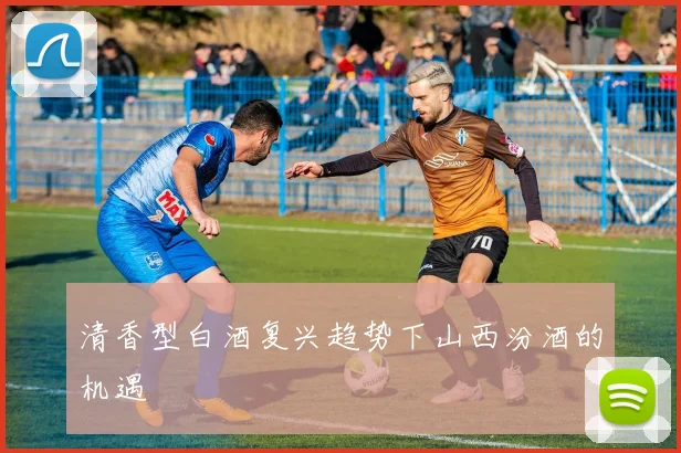 清香型白酒复兴趋势下山西汾酒的机遇