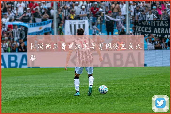 拉玛西亚青训政策孕育佩德里式大脑