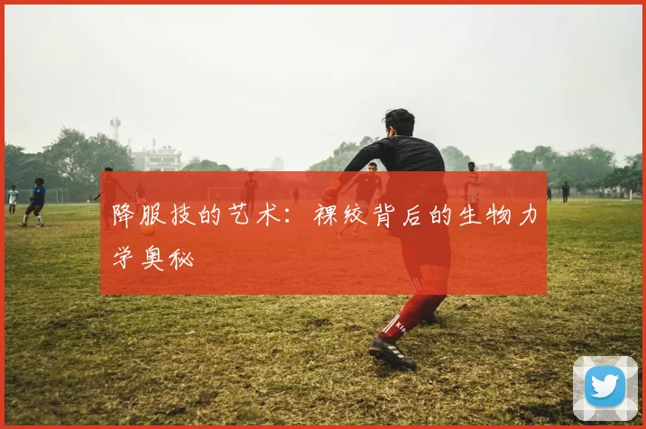 降服技的艺术：裸绞背后的生物力学奥秘